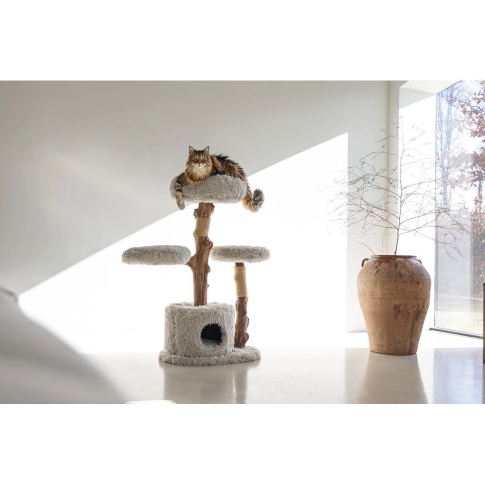 Designed By Lotte Krabmeubel Hout Ziza 5 Designed By Lotte Krabmeubel Hout Ziza - Afbeelding 3