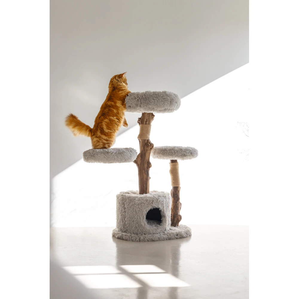 Designed By Lotte Krabmeubel Hout Ziza 7 Designed By Lotte Krabmeubel Hout Ziza - Afbeelding 5