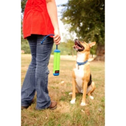 Chuckit! Chuckit Amphibious Bumper Medium -Dierenbenodigdheden Winkel 1033076 4