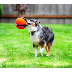 Chuckit! Chuckit Kick Fetch Small -Dierenbenodigdheden Winkel 1033097 4