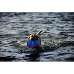 Chuckit! Chuckit Paraflight Large 9 Chuckit! Chuckit Paraflight Large -Dierenbenodigdheden Winkel 1033098 4