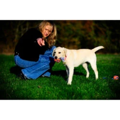 Chuckit! Chuckit Ultra Toss Medium 9 Chuckit! Chuckit Ultra Toss Medium -Dierenbenodigdheden Winkel 1033117 4