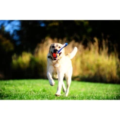 Chuckit! Chuckit Ultra Tug Large -Dierenbenodigdheden Winkel 1033119 3