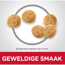 Hill's Hillu0027s Science Plan Kattenvoer Mature Adult Kip 6 Hill's Hillu0027s Science Plan Kattenvoer Mature Adult Kip -Dierenbenodigdheden Winkel 1035918 2