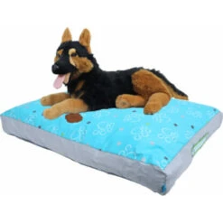 Lief! Loungekussen 2-zijdig Boys -Dierenbenodigdheden Winkel 1040911 3