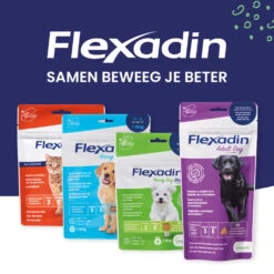 Flexadin Cat Kauwbrokjes 8 Flexadin Cat Kauwbrokjes -Dierenbenodigdheden Winkel 1054024 3