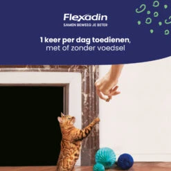 Flexadin Cat Kauwbrokjes 9 Flexadin Cat Kauwbrokjes -Dierenbenodigdheden Winkel 1054024 4