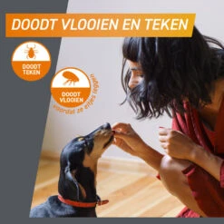 Frontpro Hond S 2-4 Kg -Dierenbenodigdheden Winkel 1057965 4