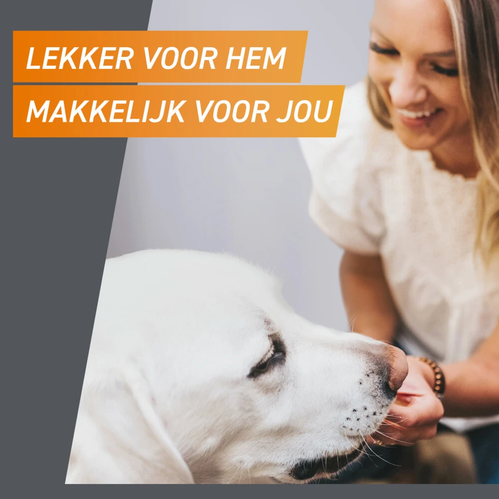 Frontpro Hond XL 25-50 Kg 7 Frontpro Hond XL 25-50 Kg - Afbeelding 5