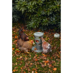 Beeztees Voertoren Voor Kippen Grijs -Dierenbenodigdheden Winkel 1059396 4