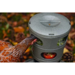 Beeztees Voertoren Voor Kippen Grijs -Dierenbenodigdheden Winkel 1059396 5