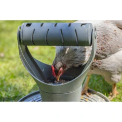 Beeztees Speel- En Snacktoren Voor Kippen Grijs -Dierenbenodigdheden Winkel 1059397 4