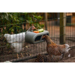 Beeztees Voerbak Voor Kippen Grijs -Dierenbenodigdheden Winkel 1059398 5