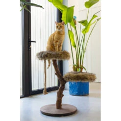 Designed By Lotte Krabmeubel Hout Aviva -Dierenbenodigdheden Winkel 1070250 3