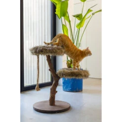 Designed By Lotte Krabmeubel Hout Aviva -Dierenbenodigdheden Winkel 1070250 4