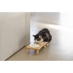 Designed By Lotte Dinerset Kat Hout Djeha -Dierenbenodigdheden Winkel 1070414 5