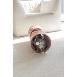 Designed By Lotte Kattentunnel Cylla Roze -Dierenbenodigdheden Winkel 1070415 4