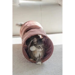 Designed By Lotte Kattentunnel Cylla Roze -Dierenbenodigdheden Winkel 1070415 5