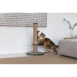 Designed By Lotte Krabpaal Yenna Groen -Dierenbenodigdheden Winkel 1070424 4