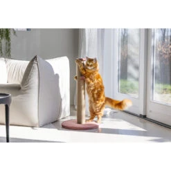 Designed By Lotte Krabpaal Yenna Roze 11 Designed By Lotte Krabpaal Yenna Roze -Dierenbenodigdheden Winkel 1070425 4