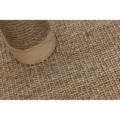 Designed By Lotte Krabpaal Vyda -Dierenbenodigdheden Winkel 1070430 3