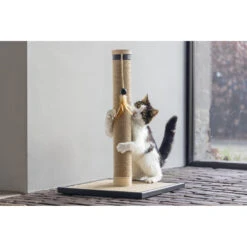 Designed By Lotte Krabpaal Vyda -Dierenbenodigdheden Winkel 1070430 4