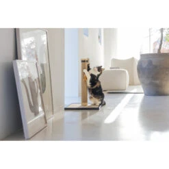 Designed By Lotte Krabpaal Vyda -Dierenbenodigdheden Winkel 1070430 6