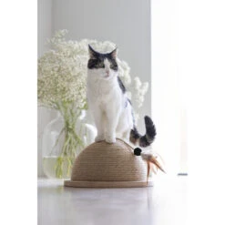 Designed By Lotte Halve Krabbol Hout Vivi -Dierenbenodigdheden Winkel 1070458 4