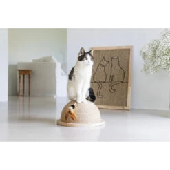 Designed By Lotte Halve Krabbol Hout Vivi -Dierenbenodigdheden Winkel 1070458 5