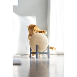 Designed By Lotte Krabbol Hout Tyra -Dierenbenodigdheden Winkel 1070675 4