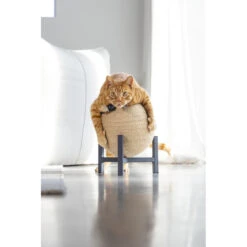 Designed By Lotte Krabbol Hout Tyra -Dierenbenodigdheden Winkel 1070675 5