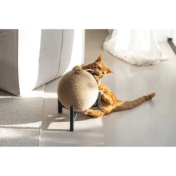 Designed By Lotte Krabbol Hout Tyra -Dierenbenodigdheden Winkel 1070675 6