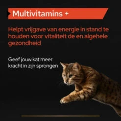 Pro Plan Supplement Poeder Voor Katten Multivitamine -Dierenbenodigdheden Winkel 1073847 4
