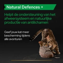 Pro Plan Supplement Poeder Voor Katten Natural Defence -Dierenbenodigdheden Winkel 1073848 4