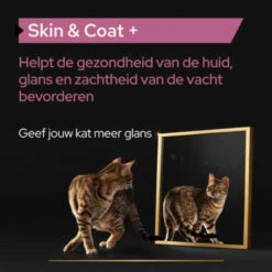 Pro Plan Supplement Olie Voor Katten Skin & Coat -Dierenbenodigdheden Winkel 1073849 4