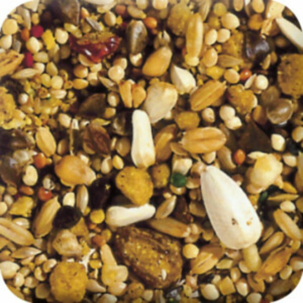 Beaphar XtraVital Grote Parkiet 4 Beaphar XtraVital Grote Parkiet - Afbeelding 2