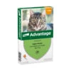 Advantage Anti Vlooiendruppels Kat Tot 4 Kg 1 Advantage Anti Vlooiendruppels Kat Tot 4 Kg -Dierenbenodigdheden Winkel 701808