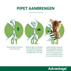 Advantage Anti Vlooiendruppels Kat Vanaf 4 Kg -Dierenbenodigdheden Winkel 701809 4