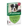 Advantage Anti Vlooiendruppels Hond 10 - 25 Kg 1 Advantage Anti Vlooiendruppels Hond 10 - 25 Kg -Dierenbenodigdheden Winkel 701812
