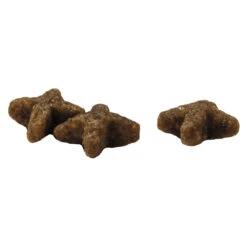 Prins VitalCare Indoor Kattenvoer -Dierenbenodigdheden Winkel 702785 3