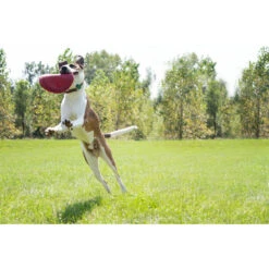 Kong Flyer Frisbee Rood -Dierenbenodigdheden Winkel 703705 4