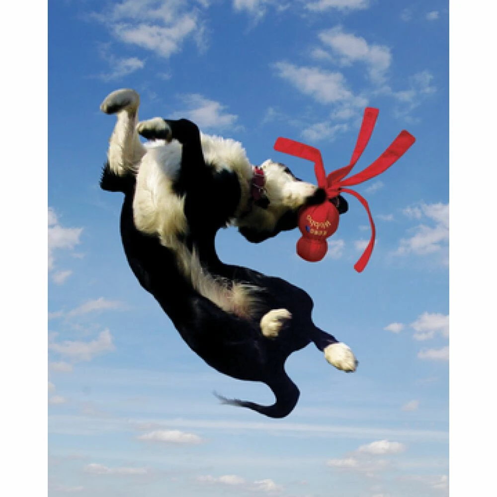 Kong Wubba XL 4 Kong Wubba XL - Afbeelding 2