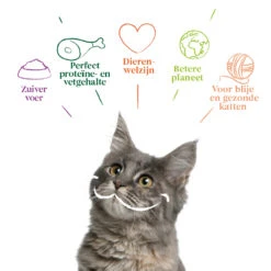 16x Yarrah Bio Kattenvoer Chunks Vis -Dierenbenodigdheden Winkel 704646 4