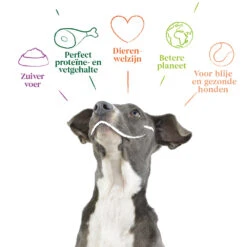 12x Yarrah Bio Hondenvoer Chunks Rund - Kip 9 12x Yarrah Bio Hondenvoer Chunks Rund - Kip -Dierenbenodigdheden Winkel 704653 4