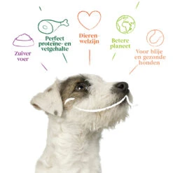 12x Yarrah Bio Hondenvoer Paté Rund - Kip -Dierenbenodigdheden Winkel 704655 4