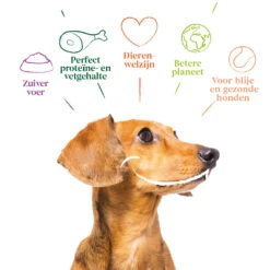 12x Yarrah Bio Hondenvoer Paté Kip - Kalkoen -Dierenbenodigdheden Winkel 704656 4