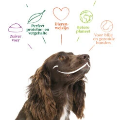 12x Yarrah Bio Chunks Vegetarisch -Dierenbenodigdheden Winkel 704657 4