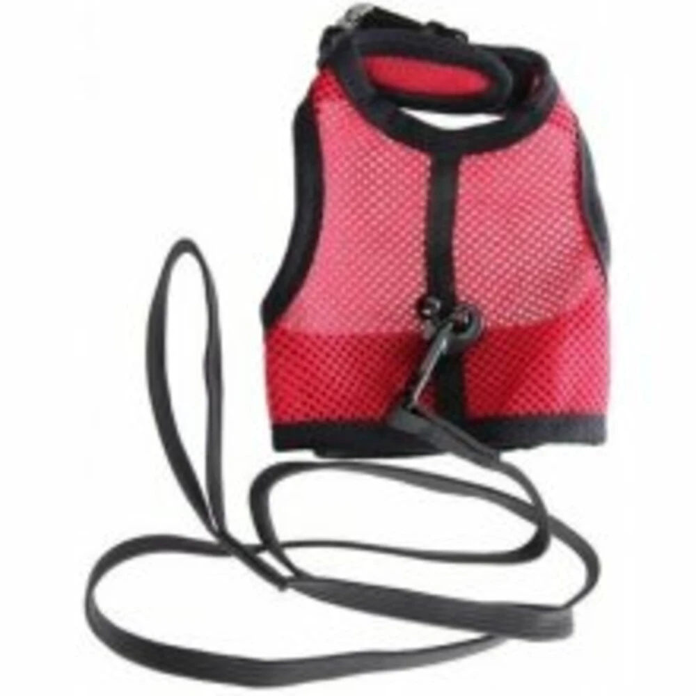 Beeztees Kattentuigje Comfort 2 Beeztees Kattentuigje Comfort