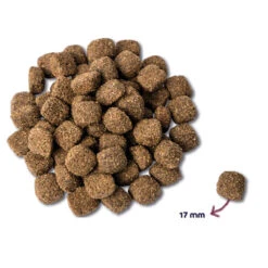 Renske Mighty Omega Plus Krokant Hondenvoer Kip -Dierenbenodigdheden Winkel 751294 2