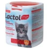 Beaphar Lactol Kitten Milk -Dierenbenodigdheden Winkel 754749 1